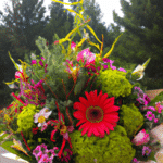 Zielona Góra - miasto wieńczone pięknymi kwiatami dzięki usłudze poczty kwiatowej
