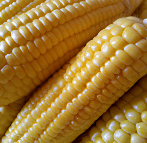 Jak długo gotować kukurydzę?