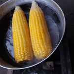 Jak gotować kukurydzę - poradnik krok po kroku