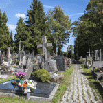 Cmentarz komunalny: historie tradycje i znaczenie miejsc pamięci