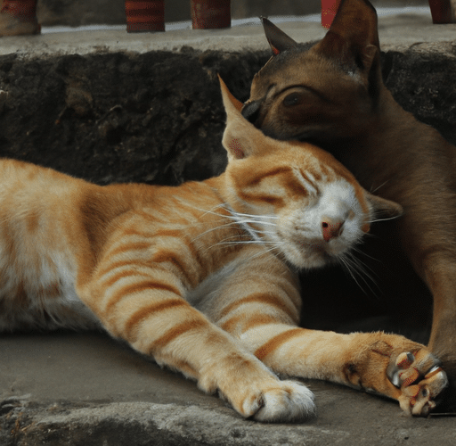 Krótka lekcja: Jak odróżnić kota od kotki – Kluczowe wskazówki dla początkujących