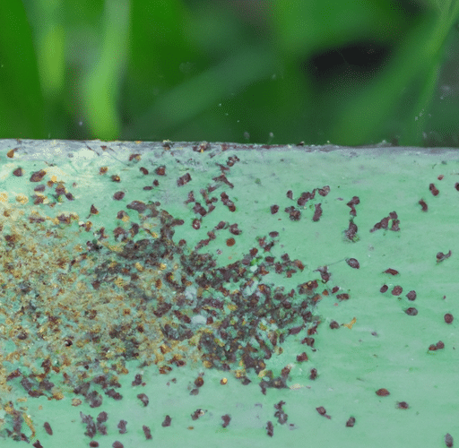 Skuteczne sposoby na pozbycie się mrówek w ogrodzie – praktyczne porady i naturalne metody