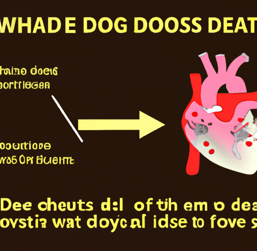 Ostatnie chwile przyjaciela: Jak umiera pies chory na serce i jak możemy go wspierać