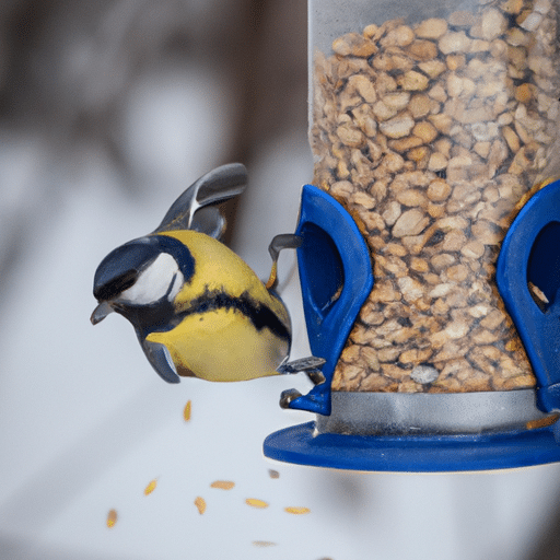 Zrób sobie własny karmnik dla ptaków - prosty sposób na zakładanie karmienia