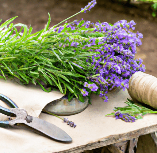 Kiedy i jak sadzić lawendę – porady dla miłośników aromatycznych ogrodów